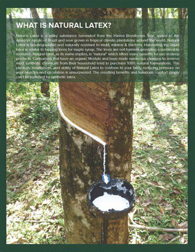 What is natural latex?